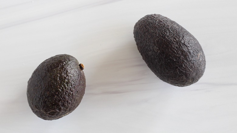 Два авокадо на белом фоне