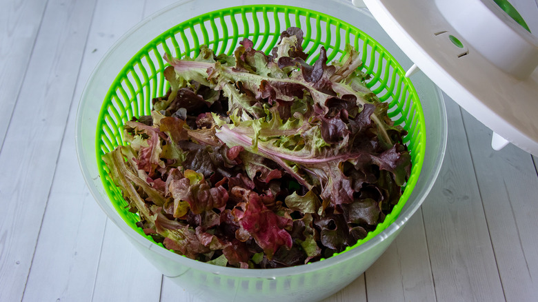 Листья салата в салатнице